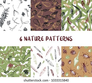 set of seamless nature patterns with shells, pine cones, feathers and beatles, hand drawn vector illustration