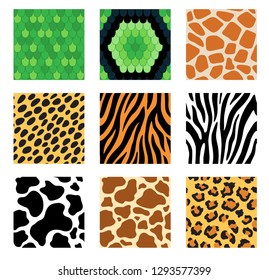 Set of seamless pattern of animal skins (cheetah, leopard, jaguar, tiger, hyena, zebra, giraffe, cow, snake, lizard)