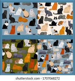 Set of seamless pattern with cats on different backgrounds. Vector cats.