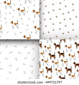Set of seamless pattern with cute dog. Breed beagle. Can be used for wallpaper, pattern fills, greeting cards, webpage backgrounds, wrapping paper and textile or fabric. Vector illustration.