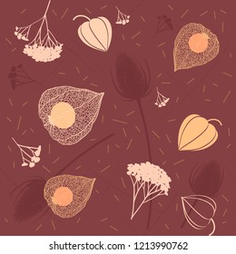 Set or seamless pattern of graphic colored winter dry field plants, herbarium, tansy, winter cherry and teasel. Vector illustration, isolated on white background for card, texture, package and print.