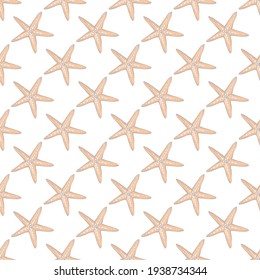 Set of seamless pattern with shells. Vector creative contour art-work.