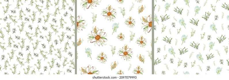 Set Of Seamless Pattern With Spring Herb, Flower Close-up. Primrose Narcissus In The Style Of Realism (drawing). Modern Sketch, Design Template, Wallpaper, Paper, Print, Banner. Art Illustration