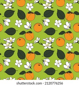 A set of seamless patterns of apricots, leaves, fruits and flowers, 1000x1000 pixels, vector graphics.