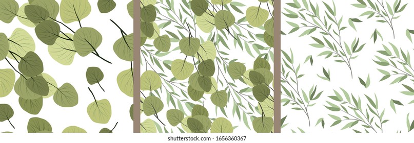 Set of seamless patterns with branches of a willow and eucalyptus on a white background. Vector flat illustration