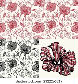 Set of seamless patterns and a flower with graphic flowers, stylized nasturtium.  Floral branch with flowers, buds and leaves. Vector image. Flower constructor.