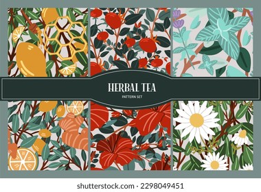 A set of seamless patterns of herbal teas. Hibiscus tea, lemon and ginger, mint, chamomile.