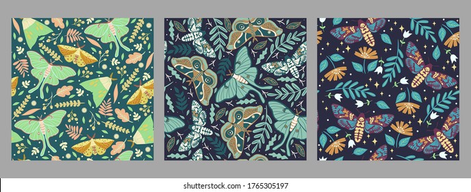 Set of seamless patterns with moths. Vector graphics.