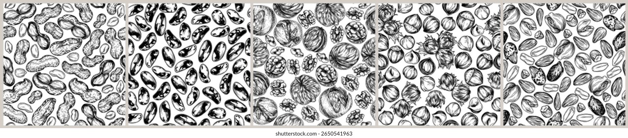 Set of seamless patterns with nuts. Almonds, hazelnuts, cashews, walnuts, peanut, Brazil nut in engraving style. Nut superfood print
