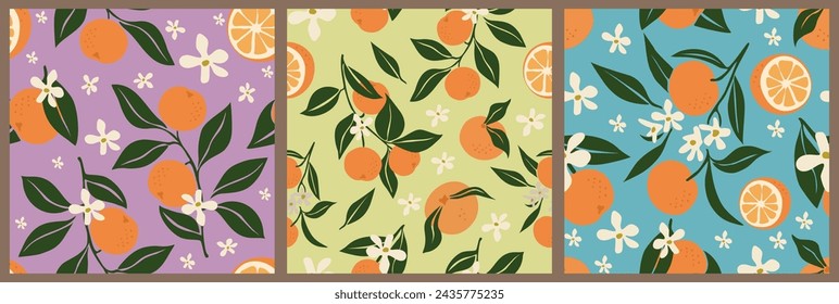 Conjunto de patrones sin costuras con frutas de naranja.