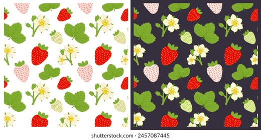 Set of seamless patterns with ripening flowering strawberries on white and dark background. Vector illustration