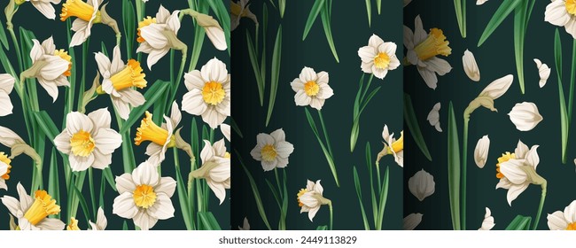 Set of seamless patterns with spring flowers. Texture with daffodils and petals. Vector graphics. Easter background. Great for wallpaper, fabric, cards