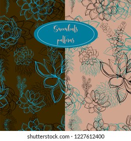 Set of seamless patterns. Succulents. Graphics.  Vector