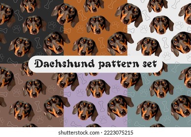 Set of seamless patterns. Vector illustration of low poly polygonal dog dachshund breed muzzle face and white line paws and bones isolated on black,orange,brown,white,purple,blue.