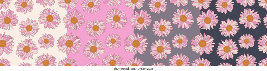 Set of seamless patterns of white and pink daisies with yellow center on various color fields: white, pink, old lavender, charcoal. Decorative print for wallpaper, wrapping, textile, fashion fabric.