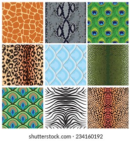 set of seamless textures of animal skins, vector illustration