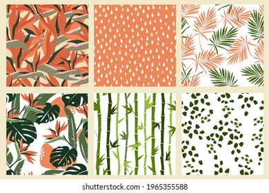 A set of seamless tropical exotic patterns of green vertical stems, bamboo branches and leaves, flowers of small drops, simple shapes, natural plant ornaments of palm trees. Vector graphics.