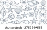 Set of seashell and bow line art icons with cad drawing flat vector illustration, featuring starfish, scallops, and decorative ribbons.