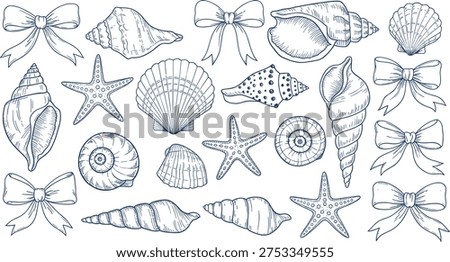 Set of seashell and bow line art icons with cad drawing flat vector illustration, featuring starfish, scallops, and decorative ribbons.