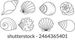 Set of seashell coloring page for kids. Summer outline doodle colouring page isolated on white background. Sea animal coloring book for kids 