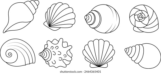 Set of seashell coloring page for kids. Summer outline doodle colouring page isolated on white background. Sea animal coloring book for kids 