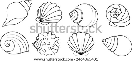 Set of seashell coloring page for kids. Summer outline doodle colouring page isolated on white background. Sea animal coloring book for kids 