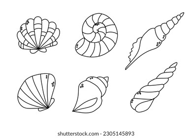 set of seashell flat vector cartoon illustration. Shell icon on white background