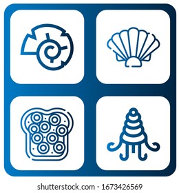 Set of seashell icons. Such as Nautilus, Shell, Caviar, Shellfish , seashell icons
