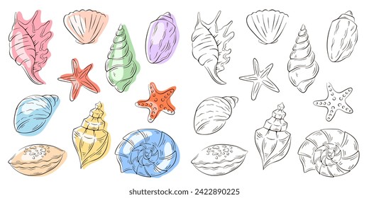 Set of seashell in line art style. Undersea shells of starfish, scallop, conch, spiral. Blue color. Vector illustration.