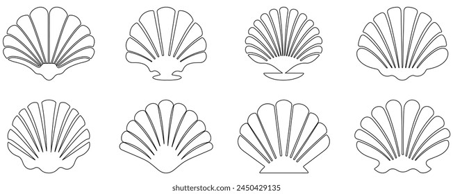 Set of seashell line icons. Vector illustration, EPS10
