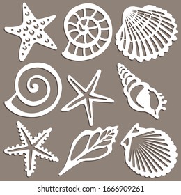 Set of seashell patterns. Vector illustration.