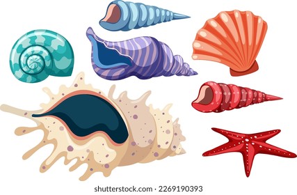 Set of seashell simple cartoon illustration