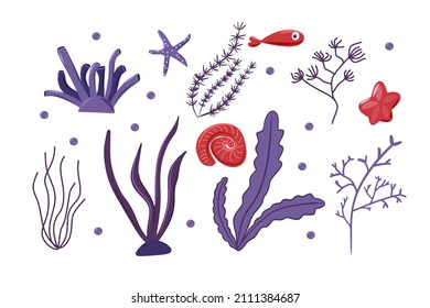 Está decorado con conchas, algas y corales. Colección marina. Ilustración del vector del doodle de color.