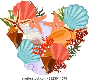 a set of seashells and algae in the heart