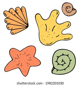 set of seashells from the beach, vector color doodle element with black outline