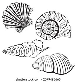 A set of seashells. Black outline line, doodle style