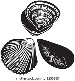 Set of seashells. Black and white style