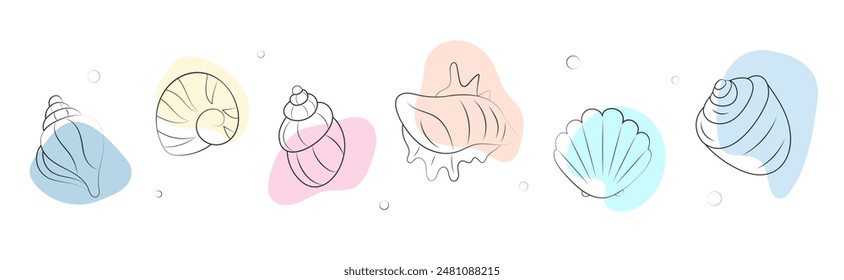 Set of seashells in boho doodle style. Marine life design elements collection.  Hand drawn vector illustration isolated on white background. 