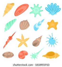 Set of seashells. Collection of colored hand drawn shells isolated on a white background. Starfish, mussel and snail. Vector illustration.