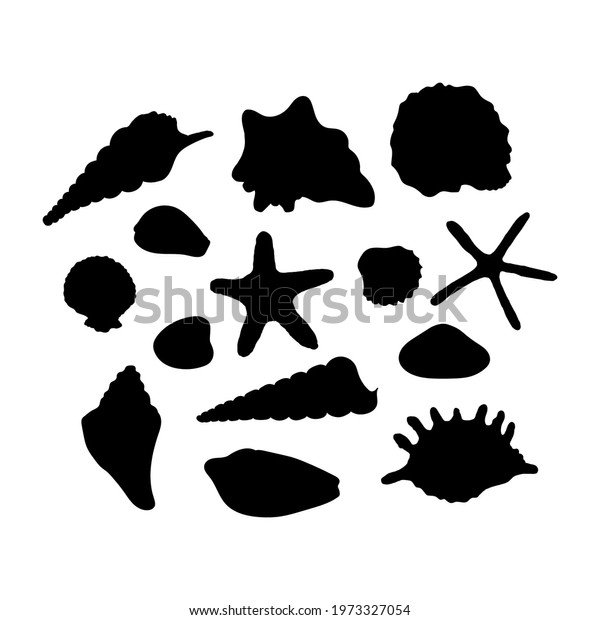 Set Seashells Collection Sea Shells Silhouette Stock Vector (Royalty ...