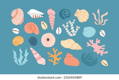 Colorful scallop sea shell, sketch style vector illustration