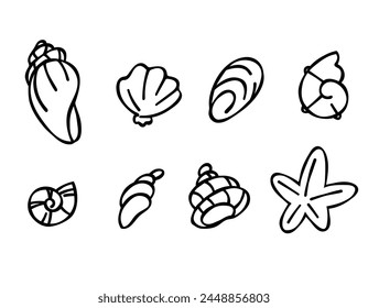 Set of seashells in doodle style, black outline sketch isolated elements on white background for design template. Ocean flora. Coloring. Clip art