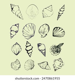 A set of seashells are drawn in black and white. The shells are of various sizes and shapes, and they are arranged in a grid pattern