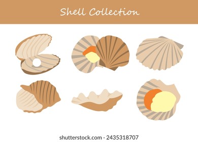 Set of seashells in flat design style. Vector illustration.