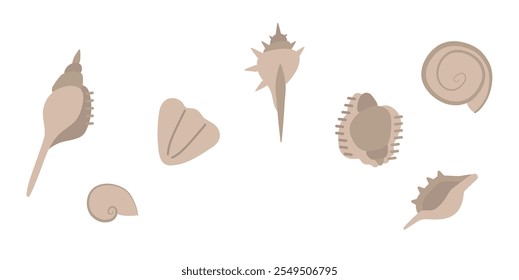 Um conjunto de conchas encontradas na praia. Ilustração vetorial em cores pastel.