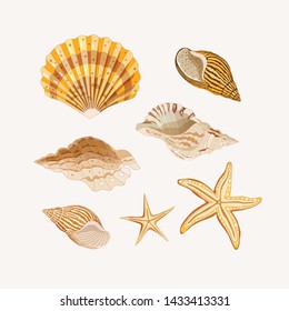 Set of seashells. Golden shells and starfishes on a light background. Vector illustration