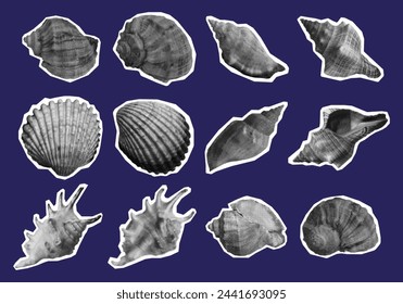 Set of seashells in halftone. Y2K style.