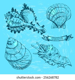 Set of Seashells. Hand drawing sketch vector illustration