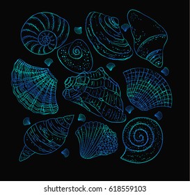 Set seashells Hand drawn collection. Shiny gradient blue on dark background vector illustration.