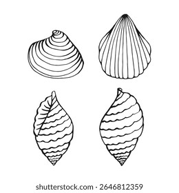 Set of seashells. Hand drawn vector illustration.